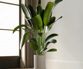 Modern Ground Green Plant Potted Plants-ID:326493988
