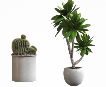 Modern Ground Green Plant Potted Plants-ID:630130898