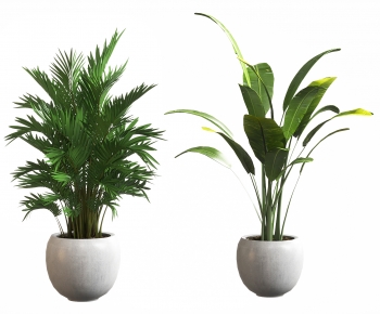 Modern Ground Green Plant Potted Plants-ID:826900014
