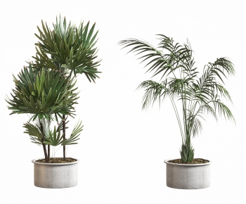 Modern Ground Green Plant Potted Plants-ID:875685934