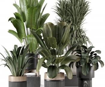 Modern Ground Green Plant Potted Plants-ID:315836918