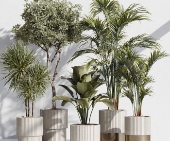 Modern Ground Green Plant Potted Plants-ID:865530977