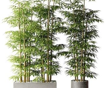 现代竹子 花坛3D模型