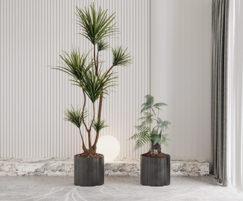 Modern Ground Green Plant Potted Plants-ID:593254097