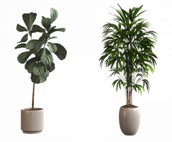 Modern Ground Green Plant Potted Plants-ID:578928954
