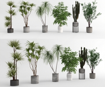 Modern Ground Green Plant Potted Plants-ID:796715976