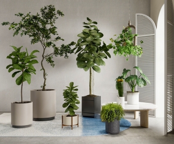 Modern Ground Green Plant Potted Plants-ID:814579963