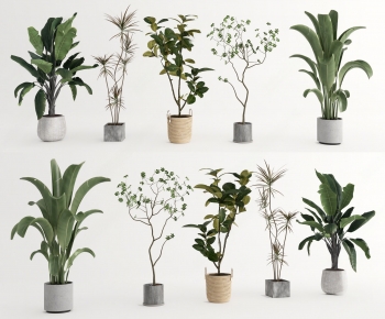 Modern Ground Green Plant Potted Plants-ID:507747893