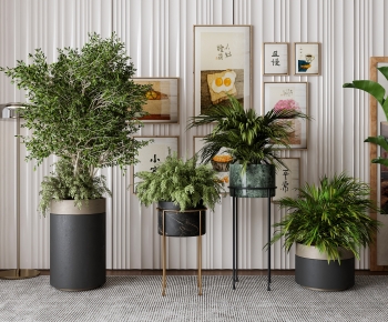 Modern Ground Green Plant Potted Plants-ID:281100371