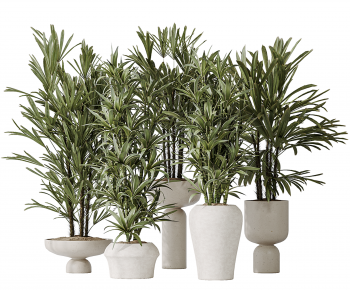 Modern Potted Green Plant-ID:213438995