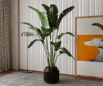Modern Ground Green Plant Potted Plants-ID:493510963