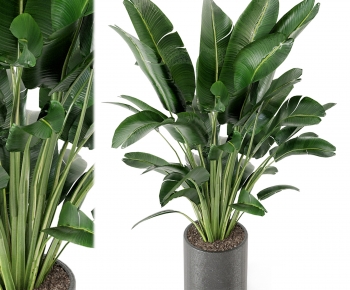 Modern Ground Green Plant Potted Plants-ID:766535047