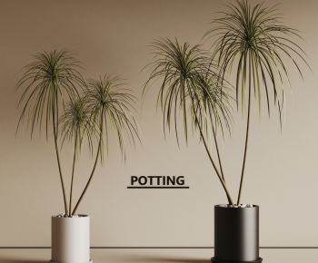 Modern Ground Green Plant Potted Plants-ID:206892011