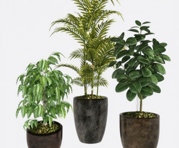 Modern Ground Green Plant Potted Plants-ID:127243044