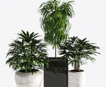 Modern Ground Green Plant Potted Plants-ID:685004004