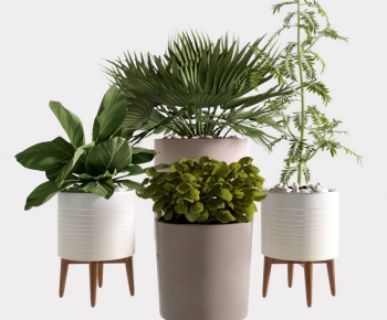 Modern Ground Green Plant Potted Plants-ID:304162036