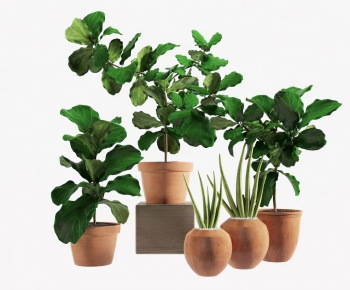 Modern Ground Green Plant Potted Plants-ID:598136904