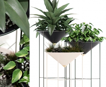 Modern Potted Green Plant-ID:772486932