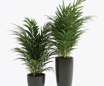 Modern Potted Green Plant-ID:952831984