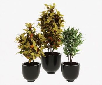 Modern Potted Green Plant-ID:116235023