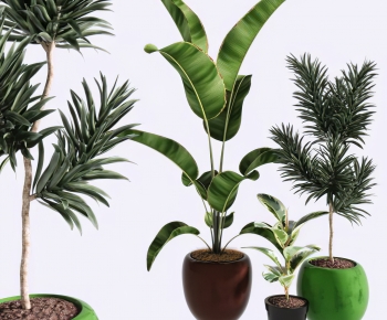Modern Ground Green Plant Potted Plants-ID:283652071