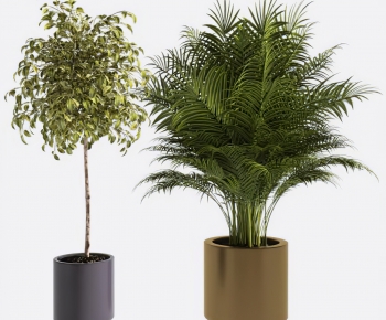 Modern Ground Green Plant Potted Plants-ID:253366959