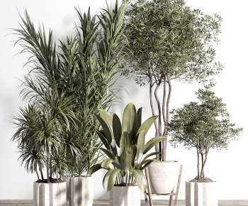 Modern Ground Green Plant Potted Plants-ID:805773024
