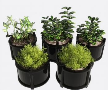 Modern Ground Green Plant Potted Plants-ID:244107962