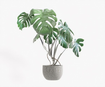 Modern Potted Green Plant-ID:551515102