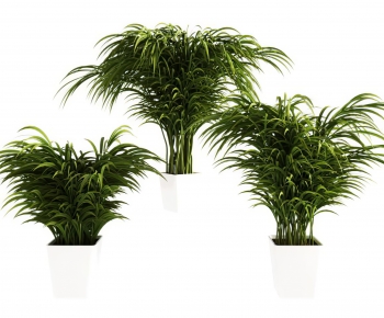 Modern Potted Green Plant-ID:984350921