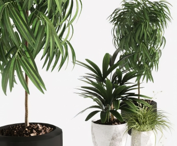 Modern Ground Green Plant Potted Plants-ID:743844033