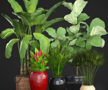 Modern Ground Green Plant Potted Plants-ID:227796086