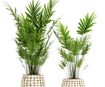 Modern Ground Green Plant Potted Plants-ID:240051031