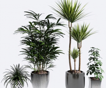 Modern Ground Green Plant Potted Plants-ID:235292919