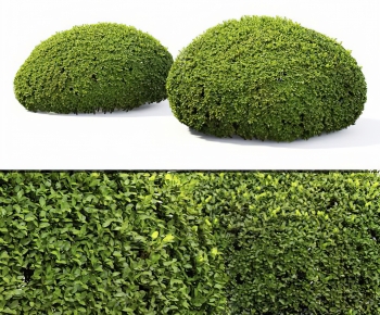 Modern Shrubbery-ID:872801079