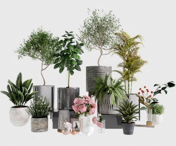 Modern Ground Green Plant Potted Plants-ID:759042986