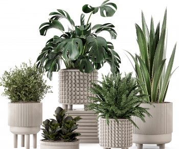Modern Ground Green Plant Potted Plants-ID:838535072