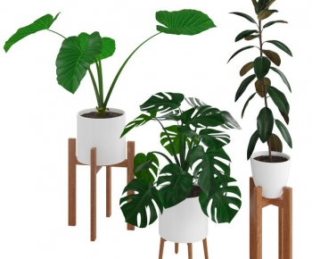 Modern Potted Green Plant-ID:543806088