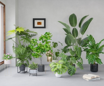 Modern Ground Green Plant Potted Plants-ID:139966016