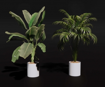 Modern Ground Green Plant Potted Plants-ID:543858059