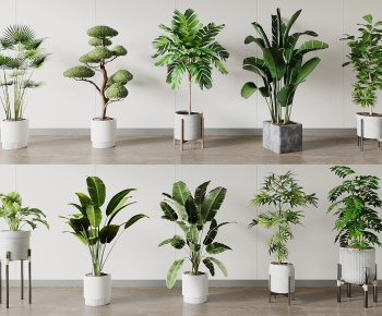 Modern Ground Green Plant Potted Plants-ID:146250016