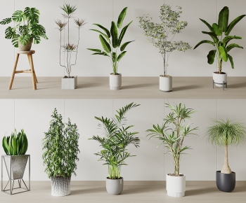 Modern Ground Green Plant Potted Plants-ID:155289259