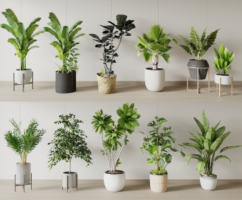 Modern Ground Green Plant Potted Plants-ID:527100097