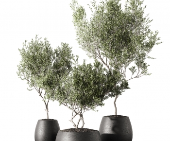 Modern Ground Green Plant Potted Plants-ID:525149116