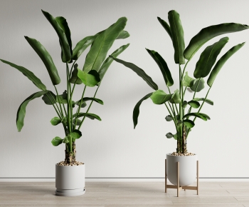 Modern Ground Green Plant Potted Plants-ID:181772953