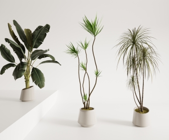 Modern Ground Green Plant Potted Plants-ID:213769911