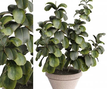 Modern Ground Green Plant Potted Plants-ID:534174922
