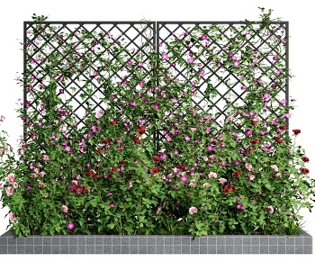 现代月季花 藤蔓植物墙3D模型