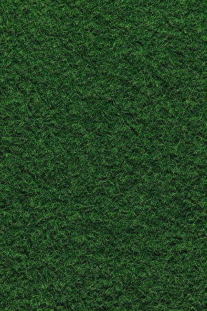 ModernGrass