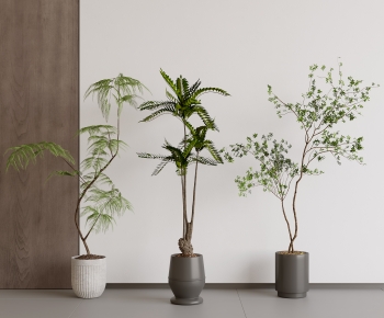 Modern Ground Green Plant Potted Plants-ID:699090966